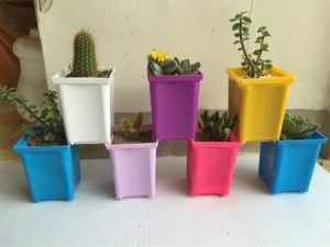 گلدان پلاستیکی رنگی خانگی