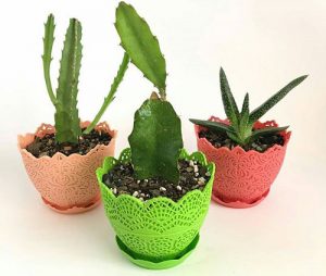 گلدان پلاستیکی طرح دار