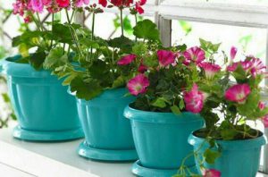 گلدان تزیینی پلاستیکی